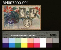 藏品(大正九年六月拾七日第二十五回始政紀念明信片)的圖片